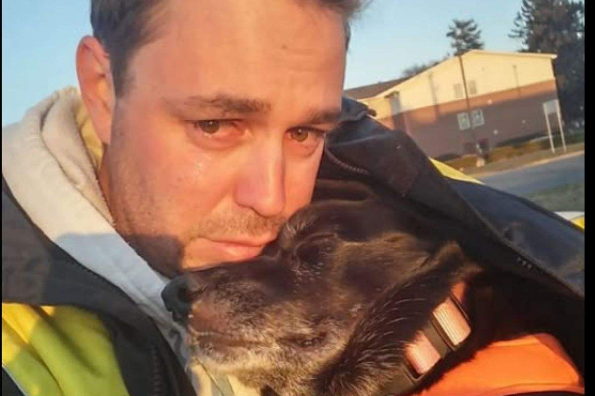Quando l’amore non accetta la fine: il cane congelato nella speranza di un futuro