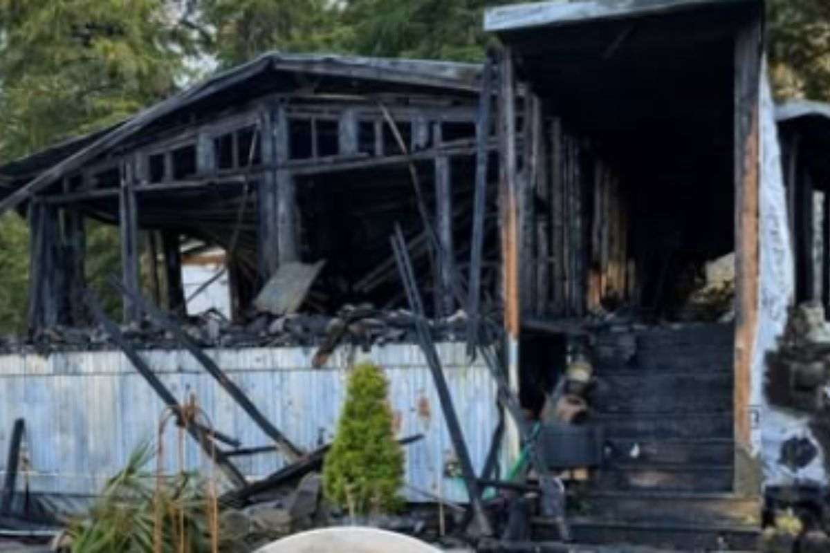 “Fred è morto per salvarmi”: l’incredibile gesto di un gatto verso il suo umano