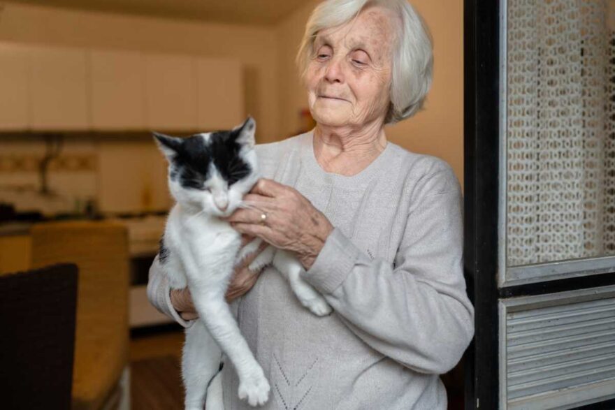 L'anziana a 92 anni dimentica tutto ma non il suo gatto che riconosce sempre