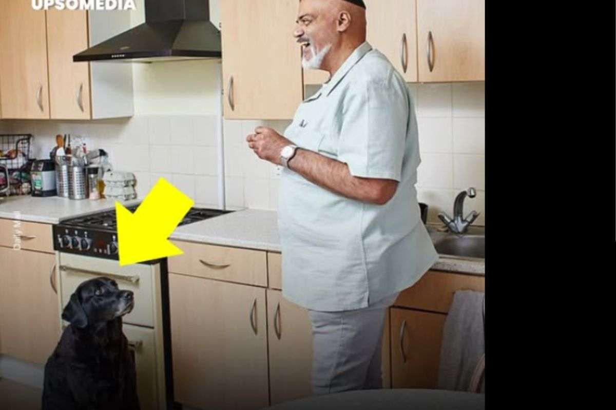 cane guida e padrone