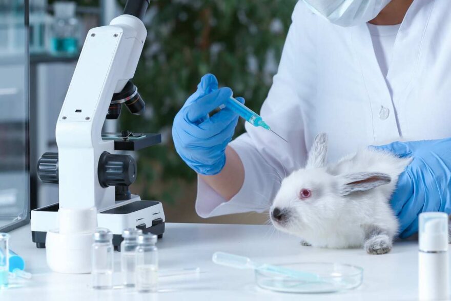 esperimenti sui conigli da laboratorio