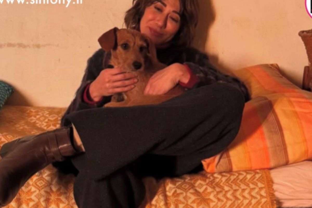 virginia raffele e Pintu