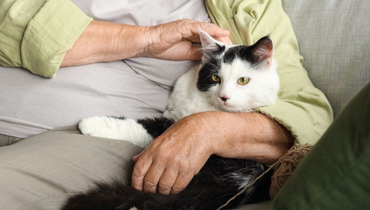 anziana con il gatto in braccio