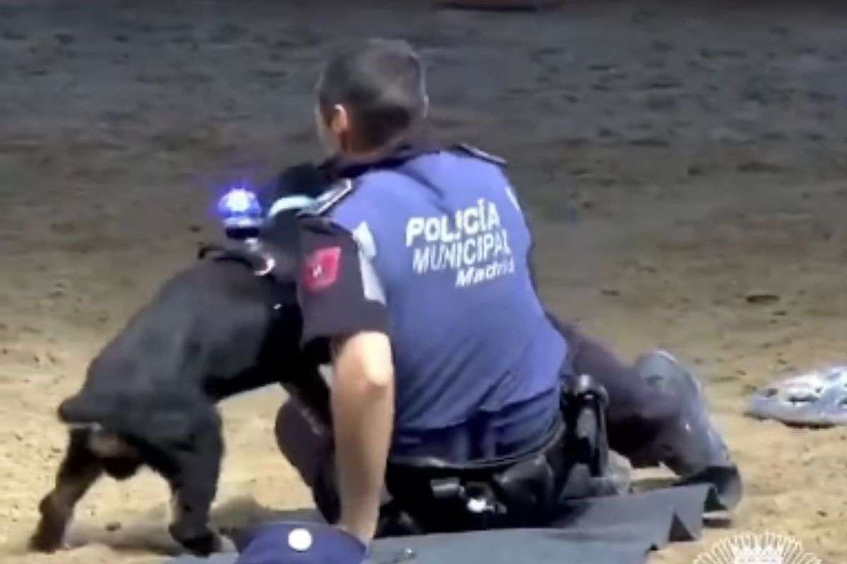 cane e poliziotto
