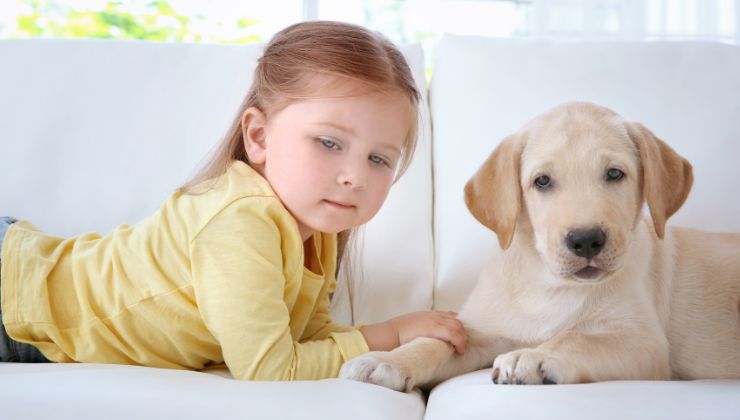 il cane e la bimba