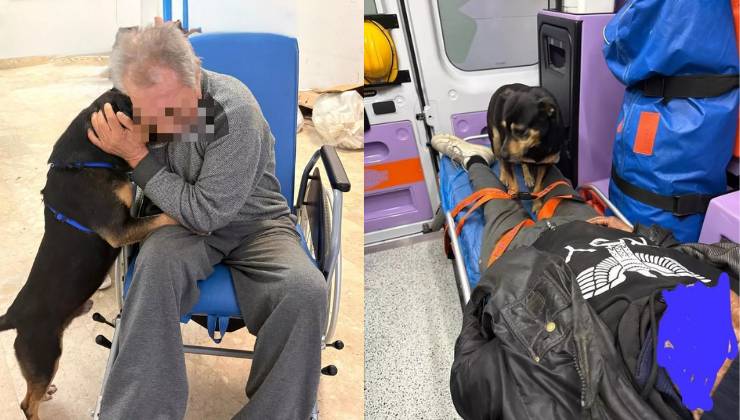 il senzatetto e il cane Diego in ambulanza