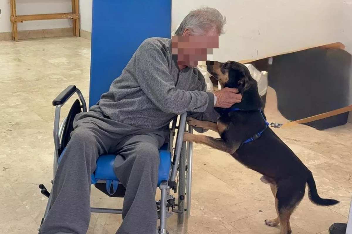 il senzatetto e il cane Diego