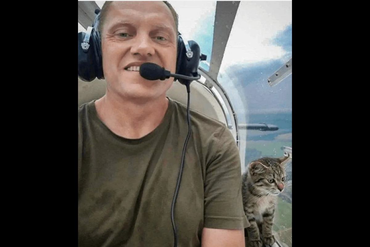 pilota e gattino sull'aereo in volo