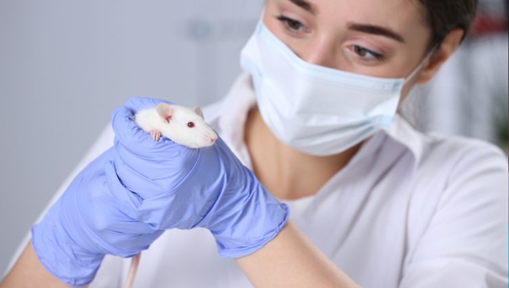 sperimentazione sugli animali