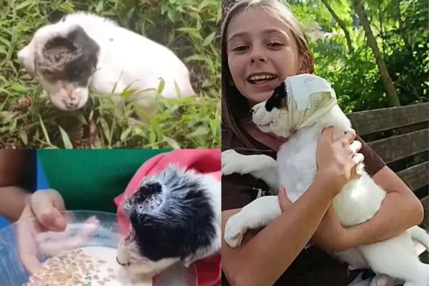 Bimba con cane salvato