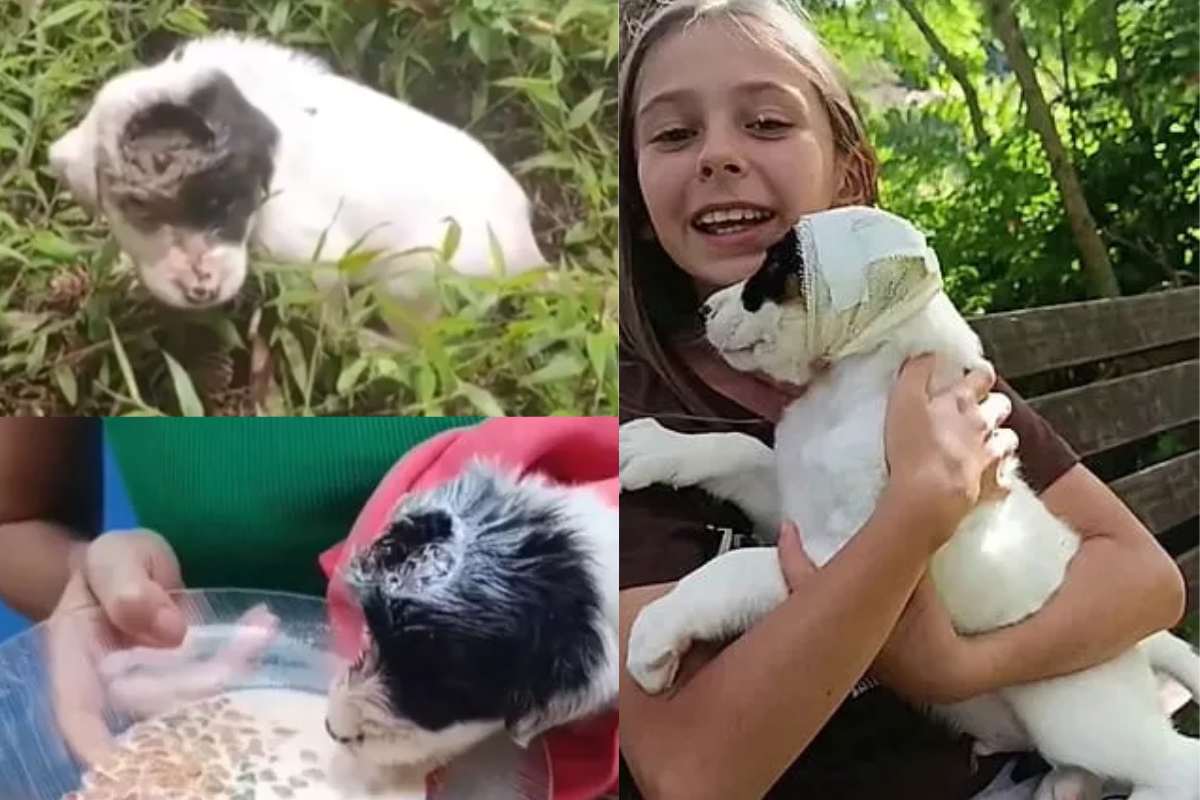 Bimba con cane salvato