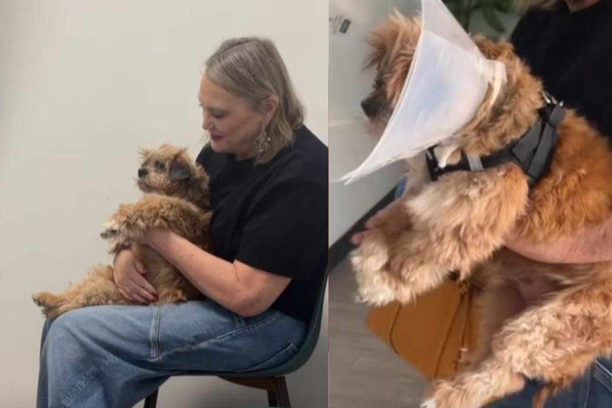 Dopo tutto il dolore, Fred aveva ricominciato… poi la scelta più dura