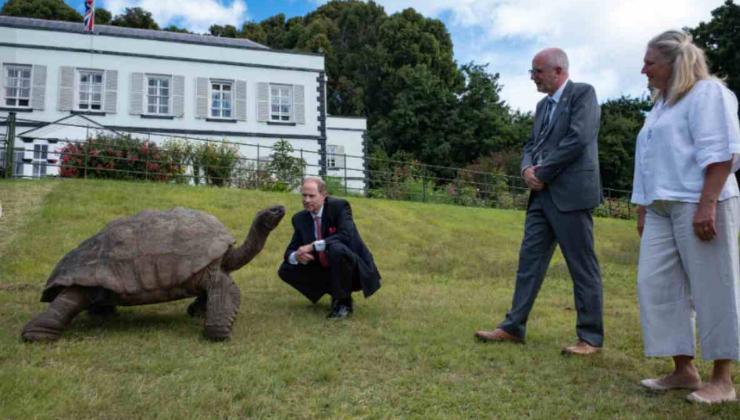 la tartaruga Jonathan