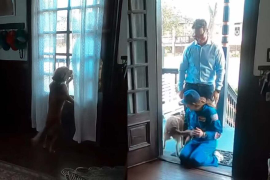 La reazione del cane Sadie al ritorno a casa dell'astronauta Christina Koch