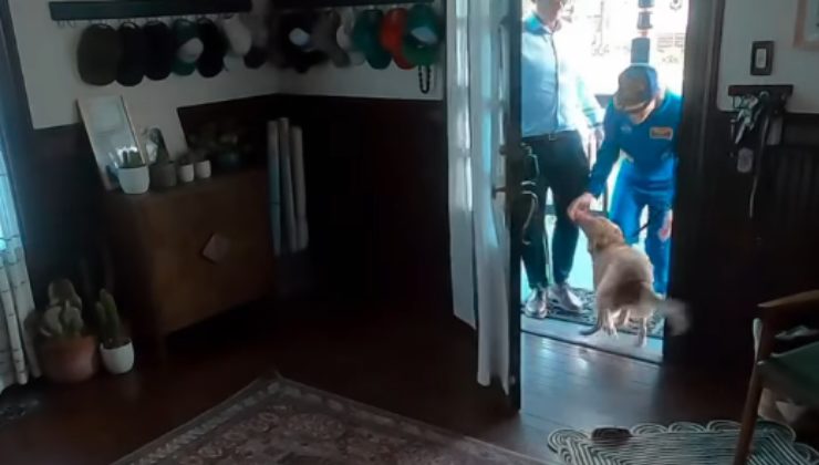 La reazione del cane Sadie al ritorno a casa dell'astronauta