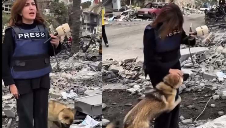 L’impegno per gli animali della giornalista