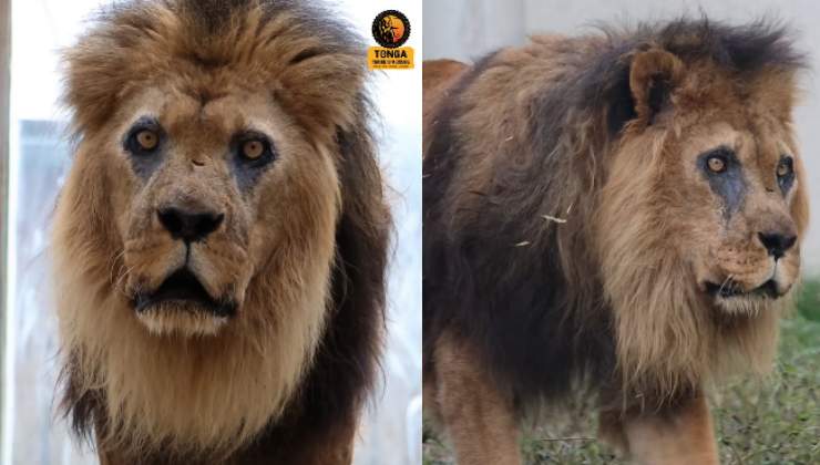 Morto a 27 anni Djibo