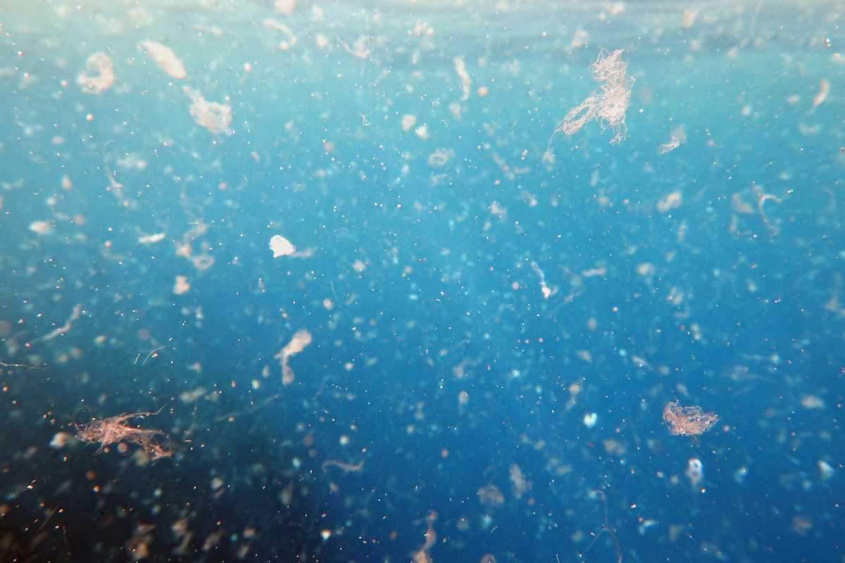 Frammenti di plastica nel mare