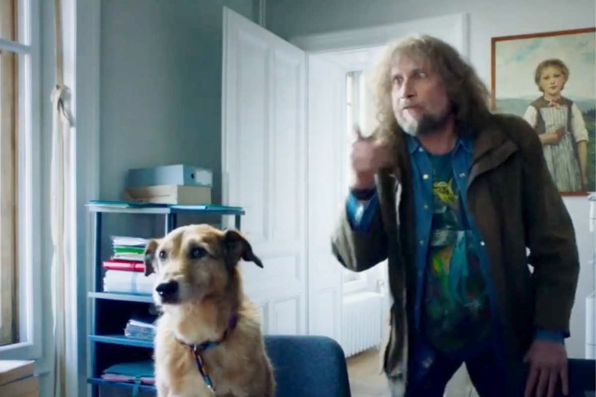 Scena film "Un cane a processo"