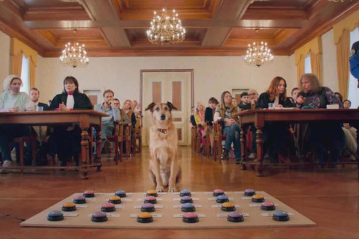 Scena film "Un cane a processo"