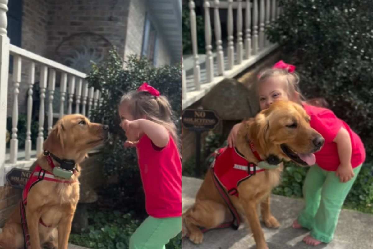 “Voglio lui”: quando è un bambino a scegliere il suo angelo a quattro zampe