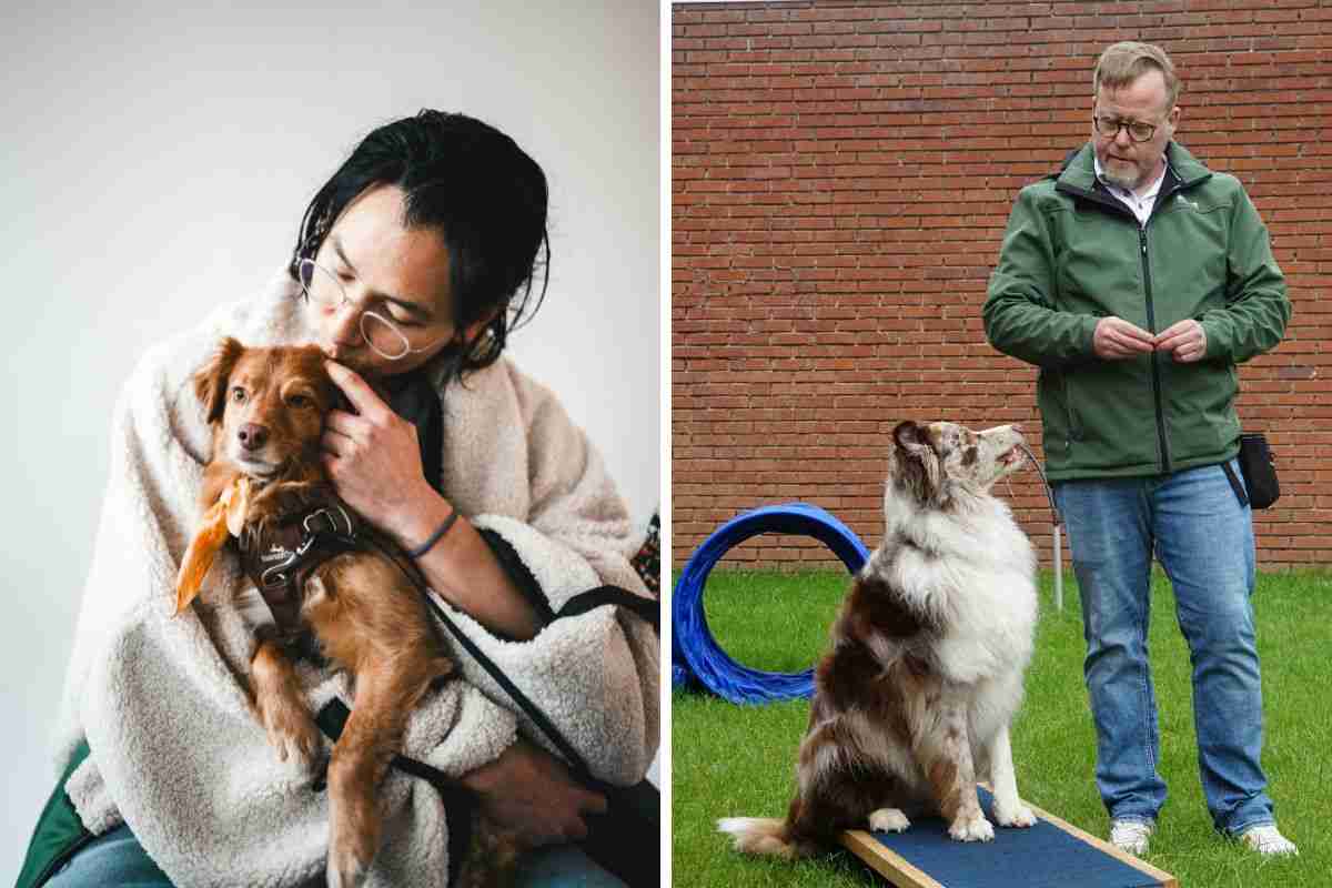 rapporto cane e proprietario