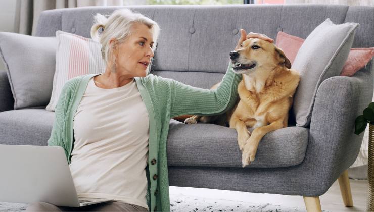 donna accarezza un cane sul divano