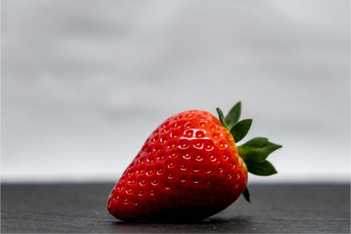 fragola