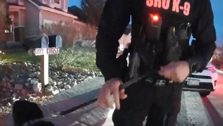 il cane Rex e l'agente