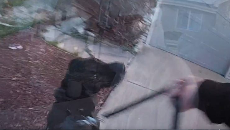 il cane Rex mentre cerca la bimba