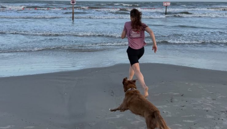 il cane Sadie al mare con la sua umana Christina Koch