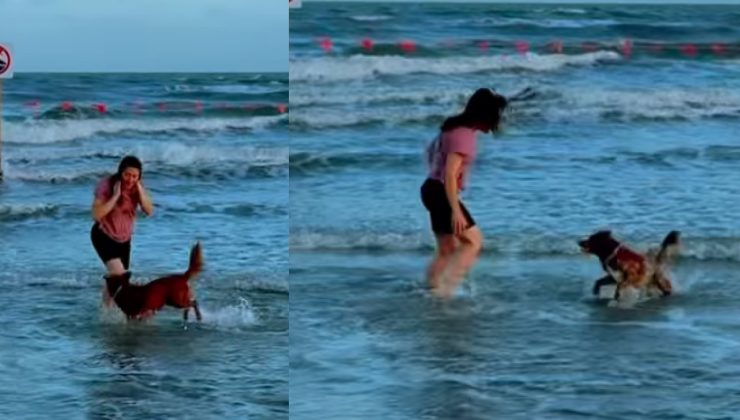 il cane Sadie al mare con l'astronauta Christina Koch