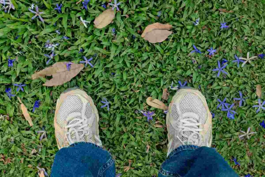 scarpe sull'erba di un giardino