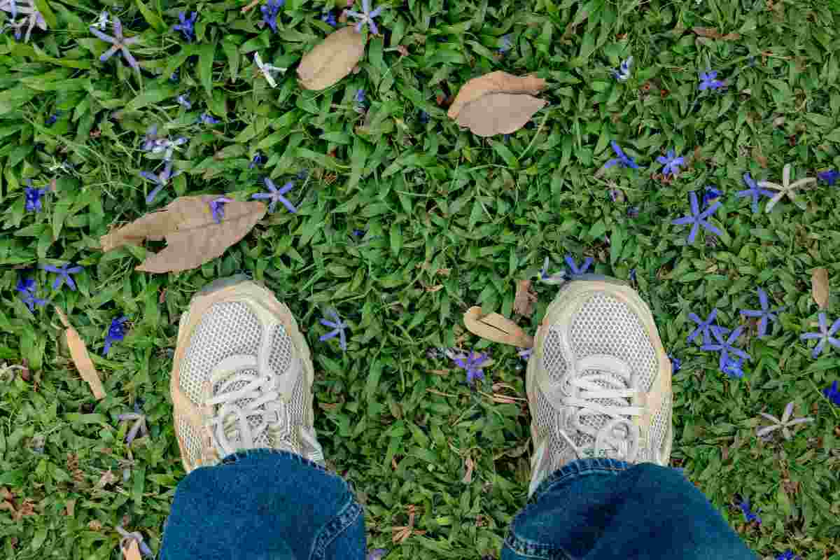 scarpe sull'erba di un giardino