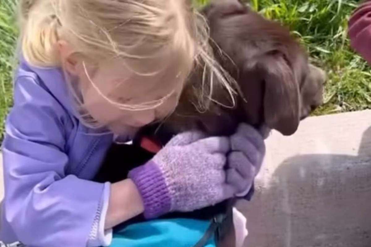 Bambina abbraccia un cane
