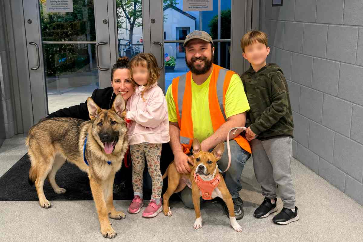 coppia di cani con nuova famiglia 