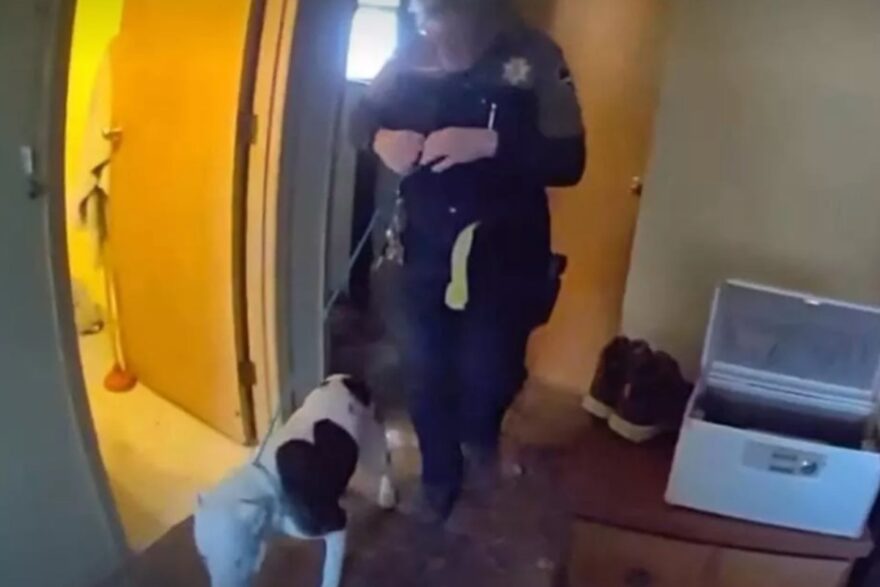 agente con il cane buck a guinzaglio