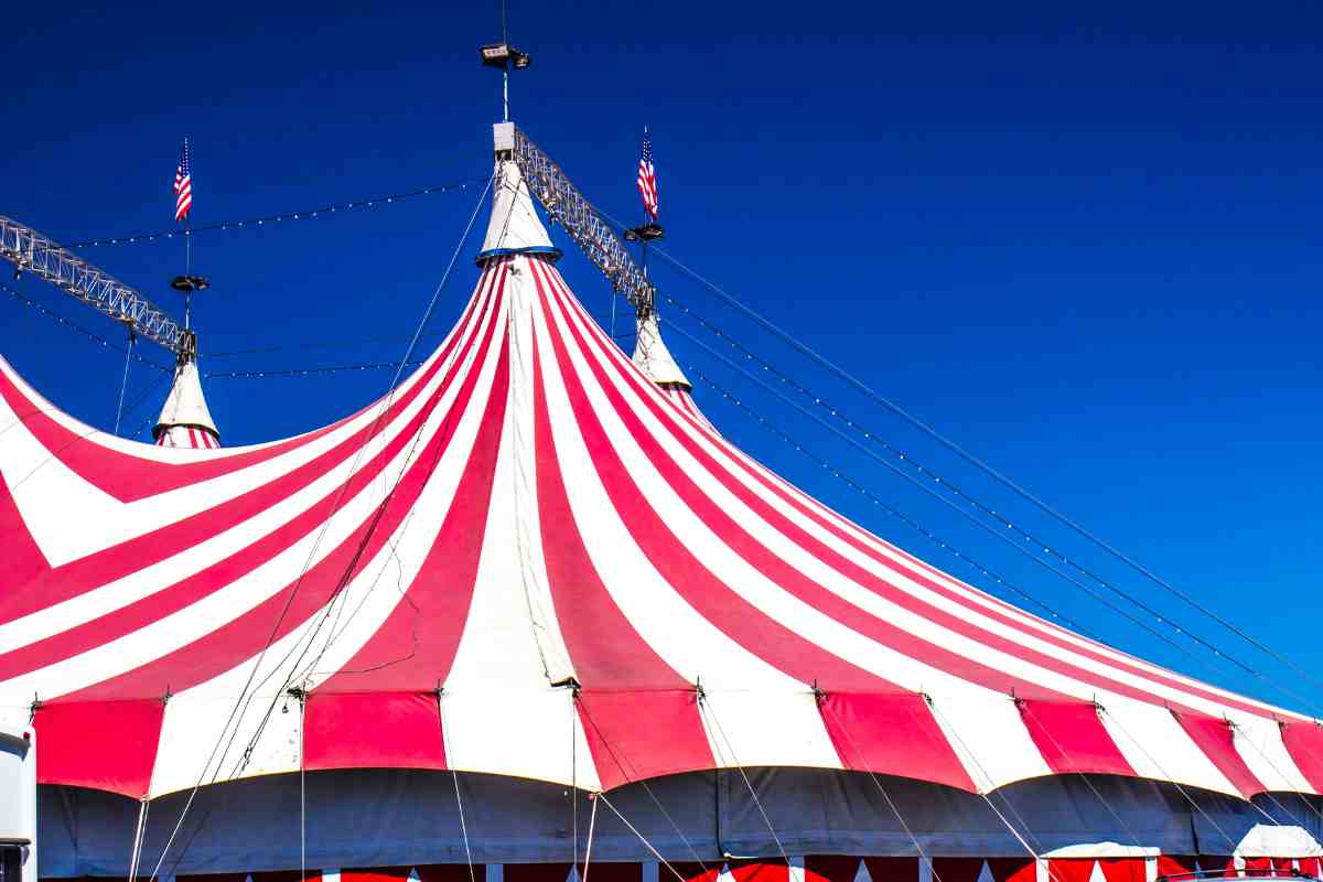 circo