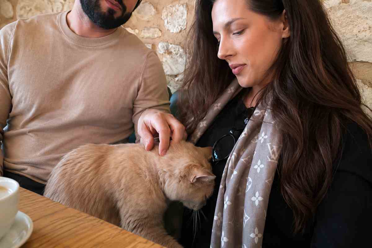 donna con gatto