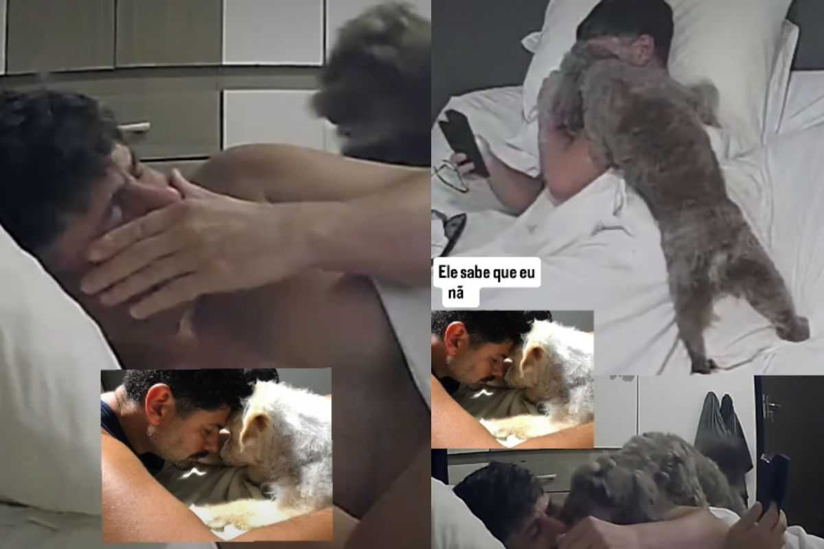 cane adottato