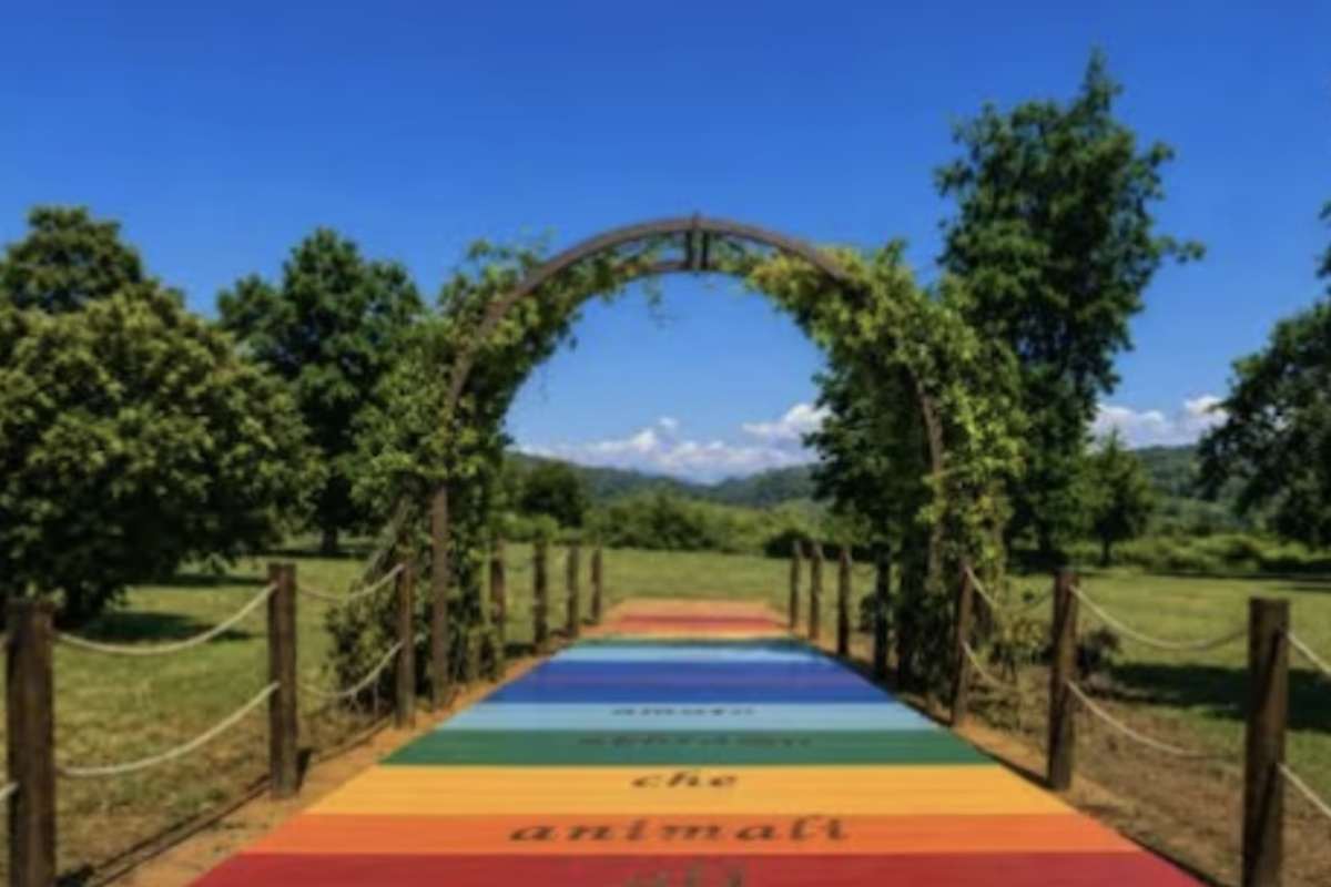 ponte in piemonte