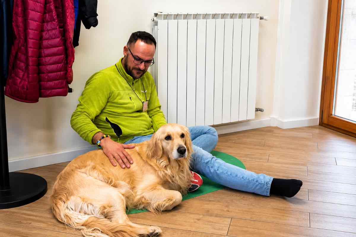 pelino e laika 