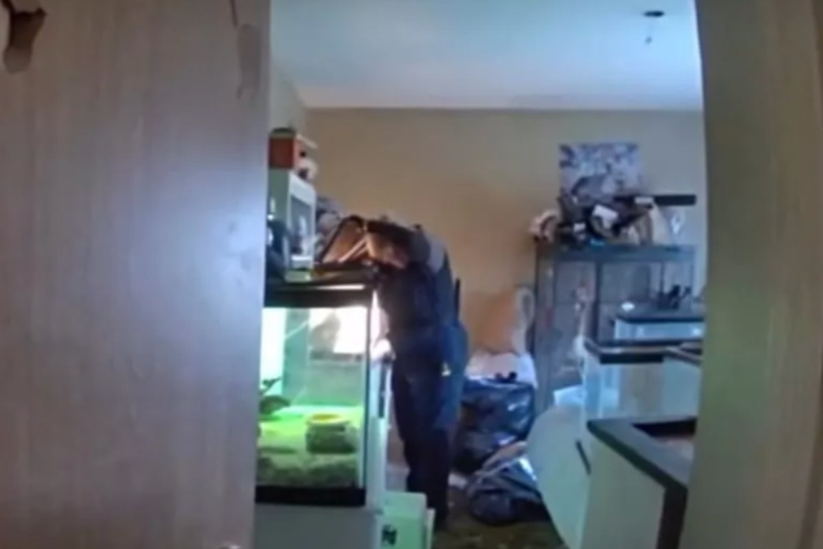 agenti che controllano una casa 
