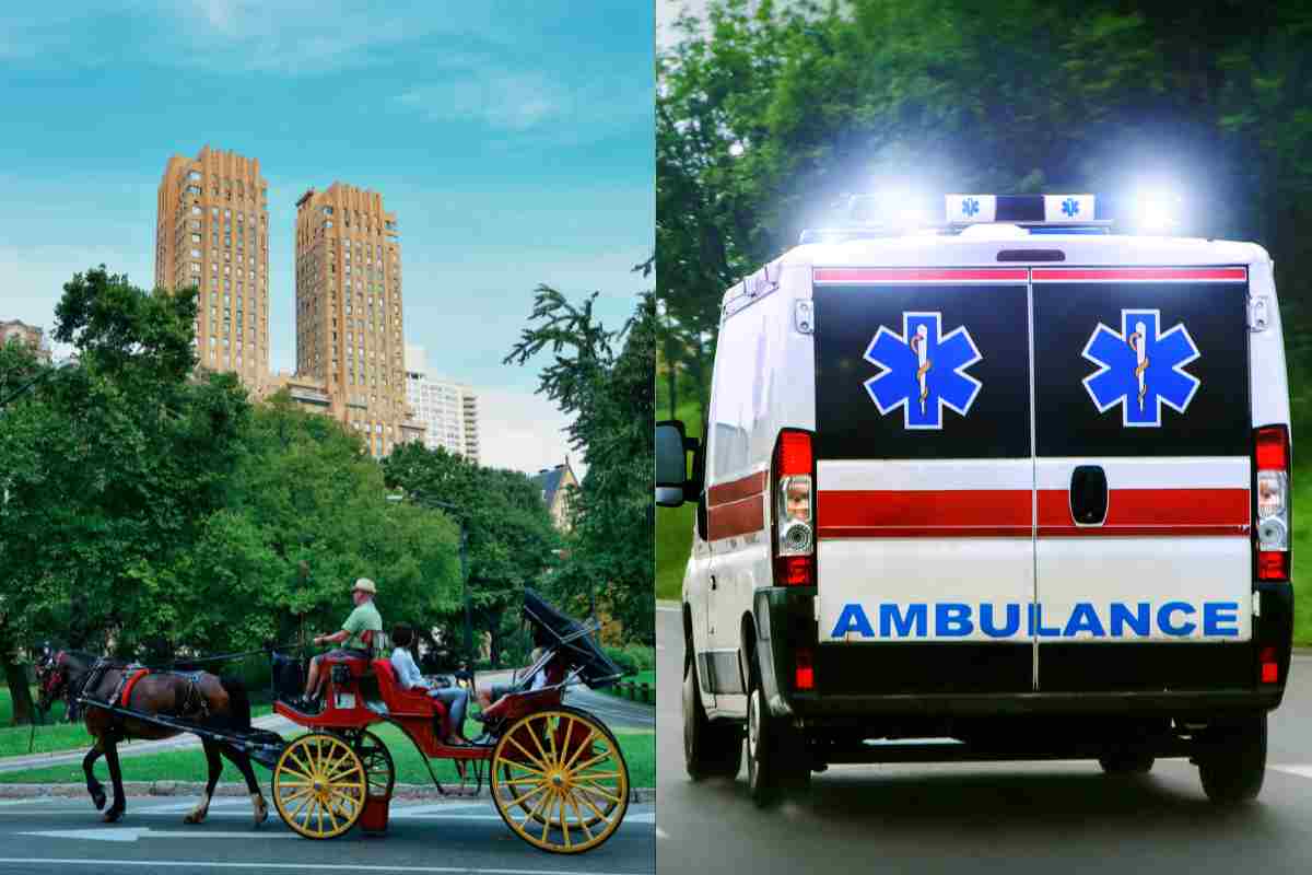 ambulanza sulla destra e carrozza trainata da cavallo al Central Park sulla sinistra