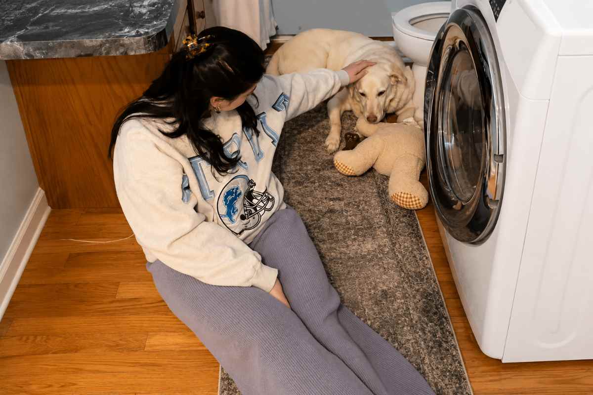 cane e padrona