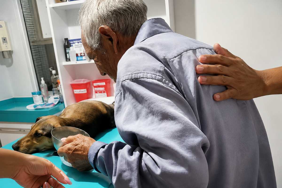 cane e anziano dal veterinario