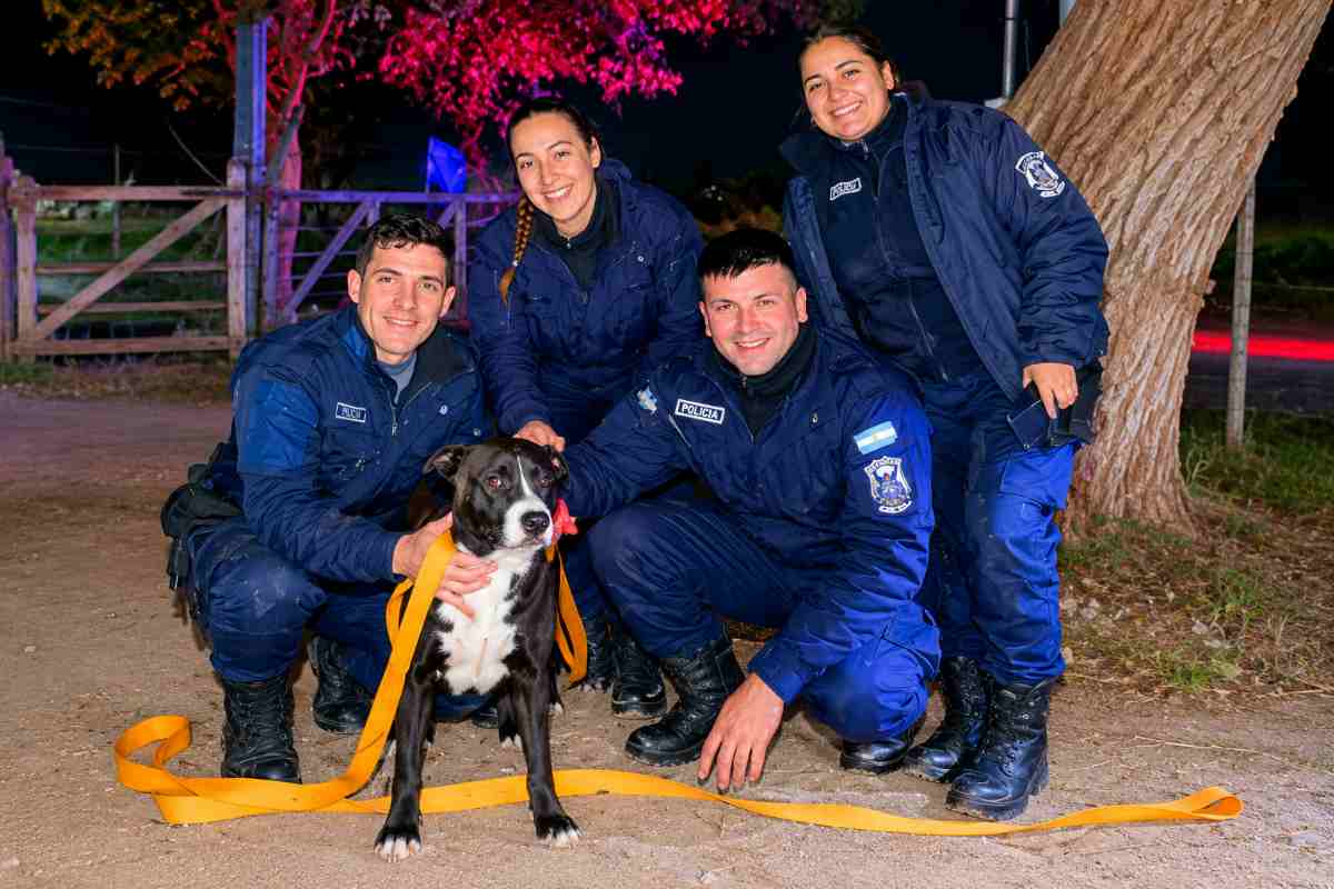 cane polizia