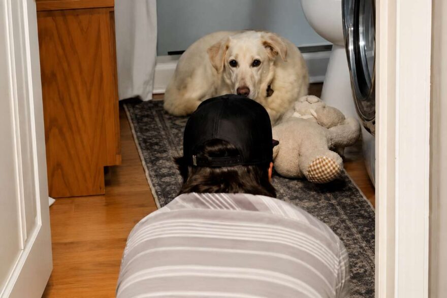 cane in bagno