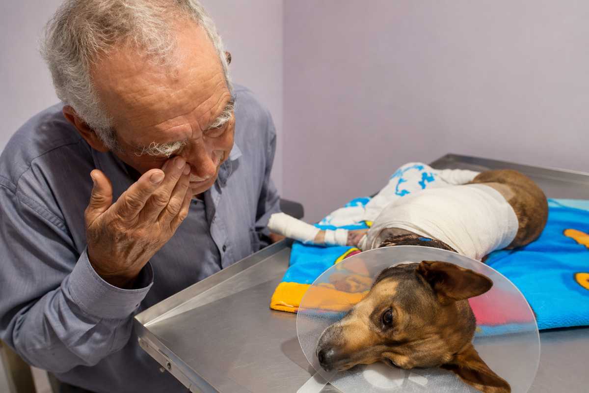 cane e anziano