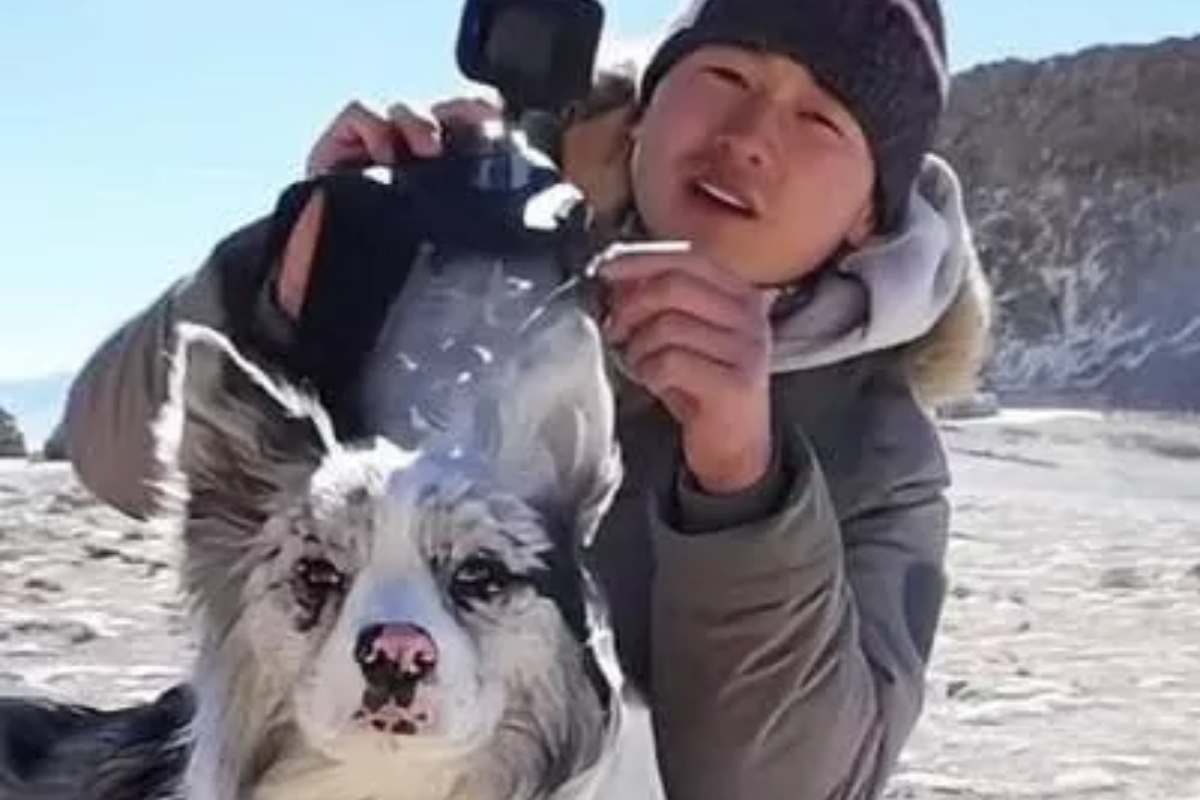 Cane rapito, venduto per pochi euro e poi mangiato: la vicenda orribile che sta scuotendo tutti